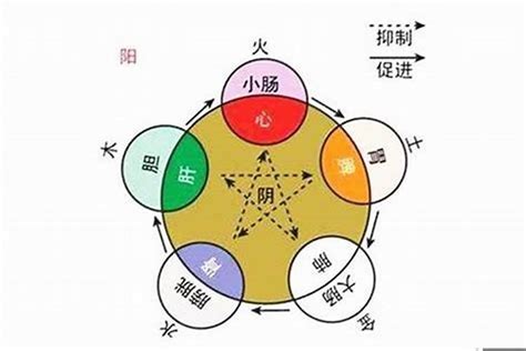 己末|己未日五行属什么 己未日柱人的命运